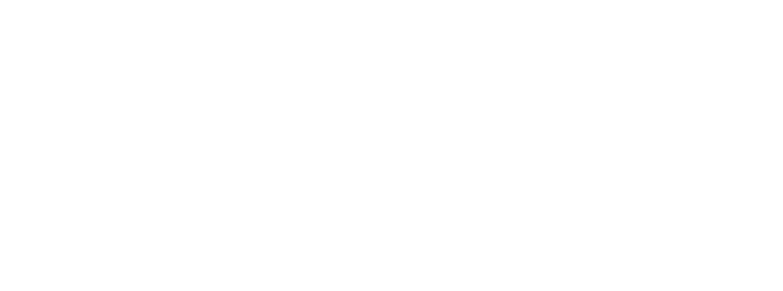 am 19.12.1991, nur knapp drei Jahre nach der Firmengründung, verstarb Herr Karlheinz Sommer nach einer kurzen aber schweren Erkrankung. Der plötzliche Tod des Firmengründers führte zu einer Umstrukturierung des Unternehmens, welches dann von seinen Söhnen Walter und Markus Sommer bis zum Jahr 1999 u. a. auch als „BIN Dämmelemente GmbH“ weitergeführt wurde. Seit den späten 90er Jahren wurde erst ein Teil der Produktion nach Osteuropa ausgelagert; später wurde dann das komplette Outsourcing der Produktion nach Polen umgesetzt. 